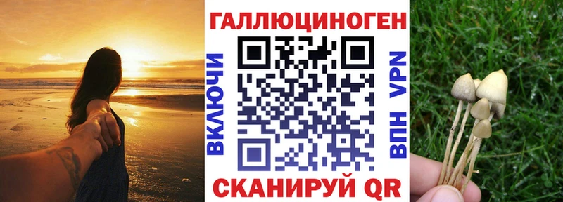 Псилоцибиновые грибы Magic Shrooms  цена наркотик  Тырныауз 